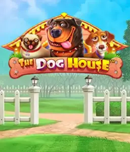 From Pragmatic Play comes The Dog House Slot, featuring a fun-filled experience among charming canines. Enjoy features such as sticky wilds, aimed at providing exciting wins. Ideal for those who enjoy a cheerful setting and the opportunity to win big.