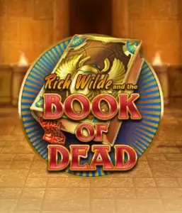 Embark on the thrilling world of Book of Dead by Play'n GO, presenting vivid graphics of Rich Wilde's journey through ancient Egyptian tombs and artifacts. Find lost riches with captivating mechanics like free spins, expanding icons, and a gamble option. Ideal for adventure enthusiasts with a desire for thrilling discoveries.